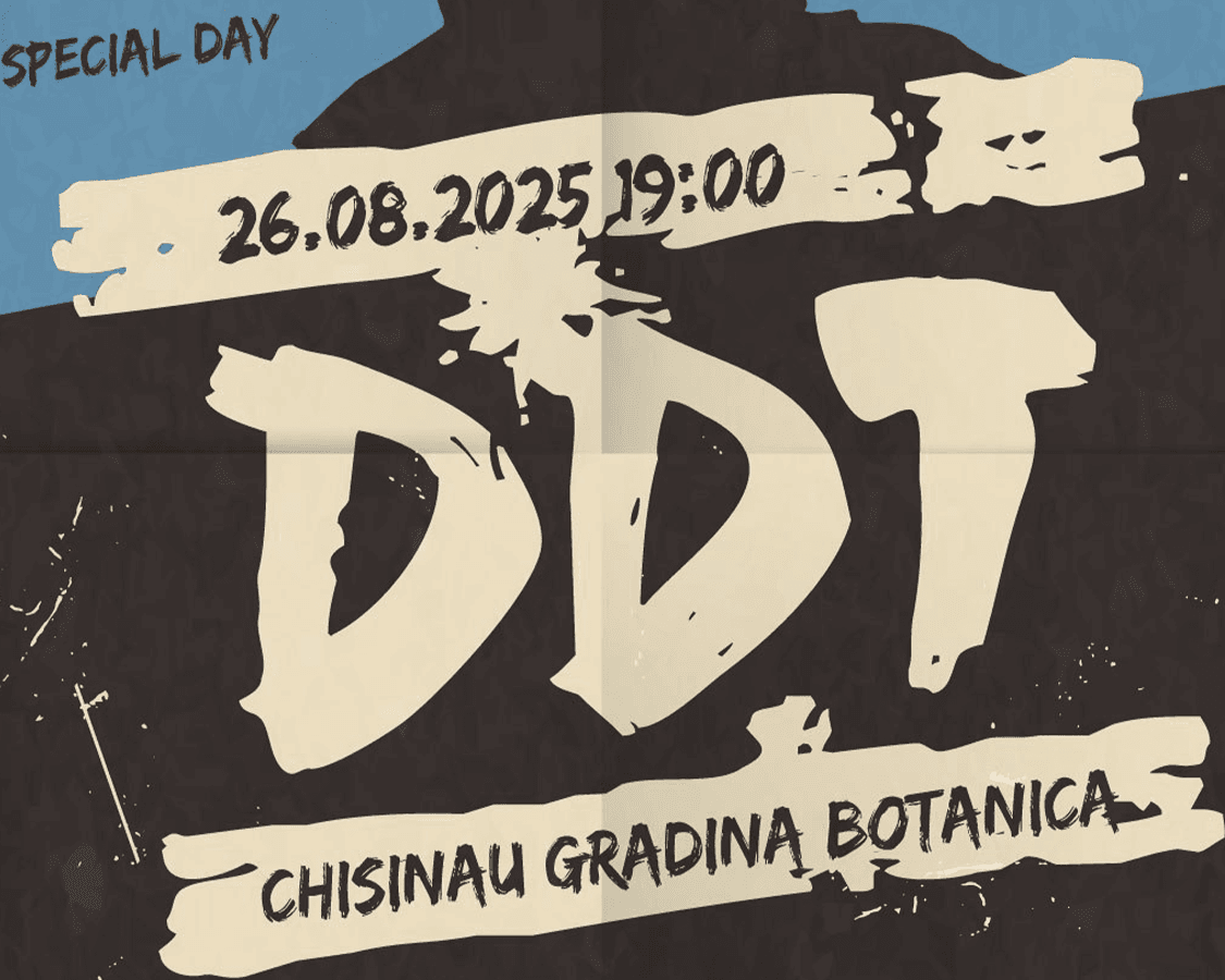 SUMMER FEST 2025 Special Day - Концерт DDT